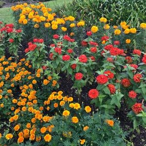 Meet your Posher, Clara